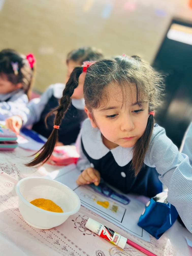 پیش دبستانی شاپرک نوین